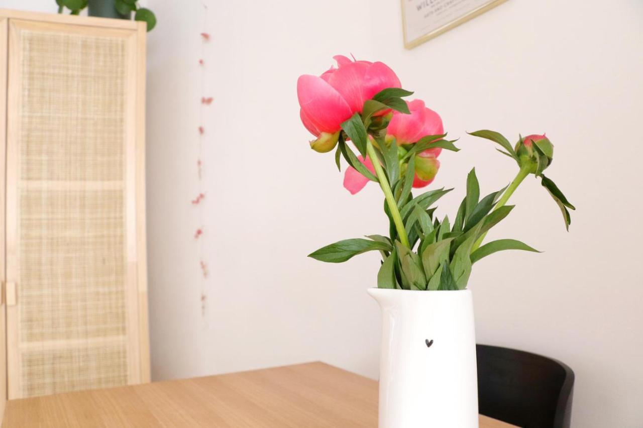 Appartement Cosy 40M2 Centre-Ville Historique 瓦讷 外观 照片